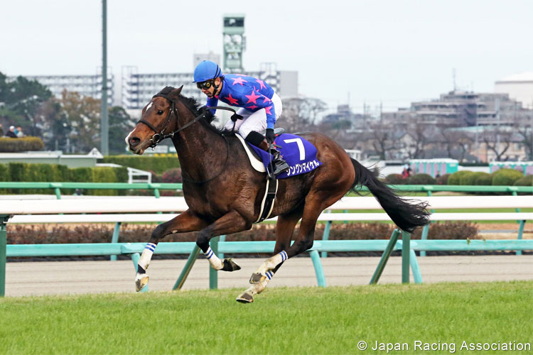 SHINGUN MICHAEL winning the Nakayama Daishogai in Nakayama, Japan.