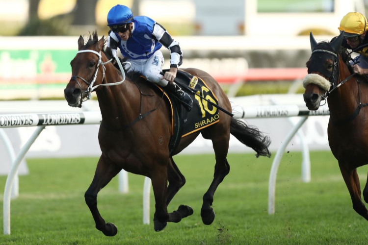 SHRAAOH winning the Schweppes Sydney Cup during The Championships Day 2 at Royal Randwick in Sydney, Australia.