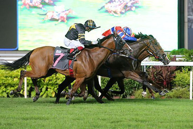 Siam Blue Vanda winning the BORN TO FLY 2014 STAKES CLASS 3
