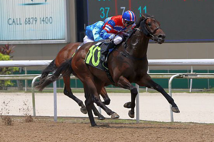 Siam Royal Orchid winning the RESTRICTED MAIDEN