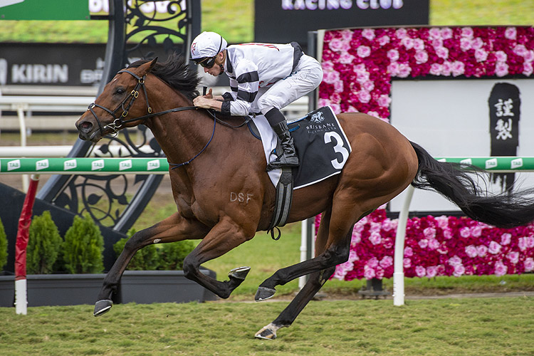 Signore Fox winning the Kirin Daybreak Lover