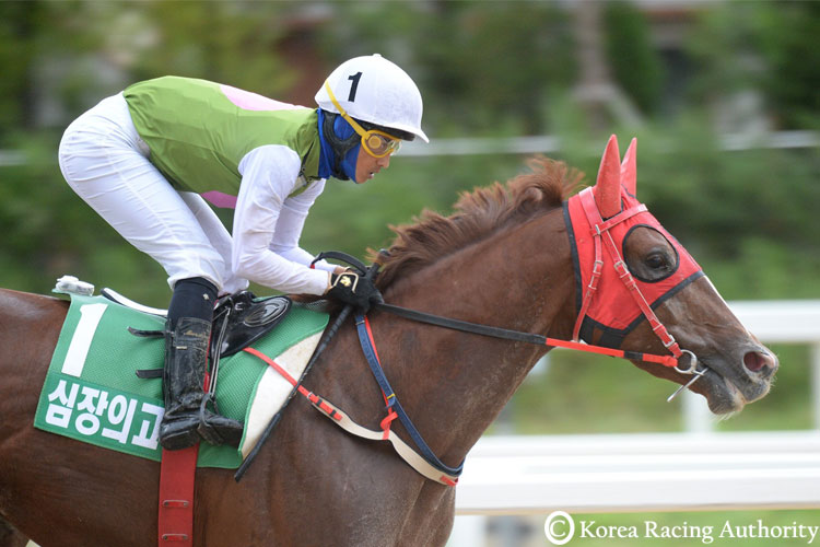 SIMJANGUI GODONG winning the Horse Racing Ireland Trophy in Seoul. Korea.