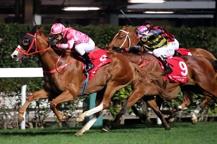 Simply Brilliant winning the The January Cup Simply Brilliant winning the The January Cup