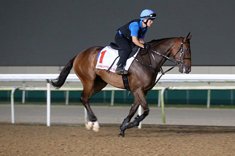 Singapore Sling (Cheung Hiu Ming) canters leisurely around the Polytrack.