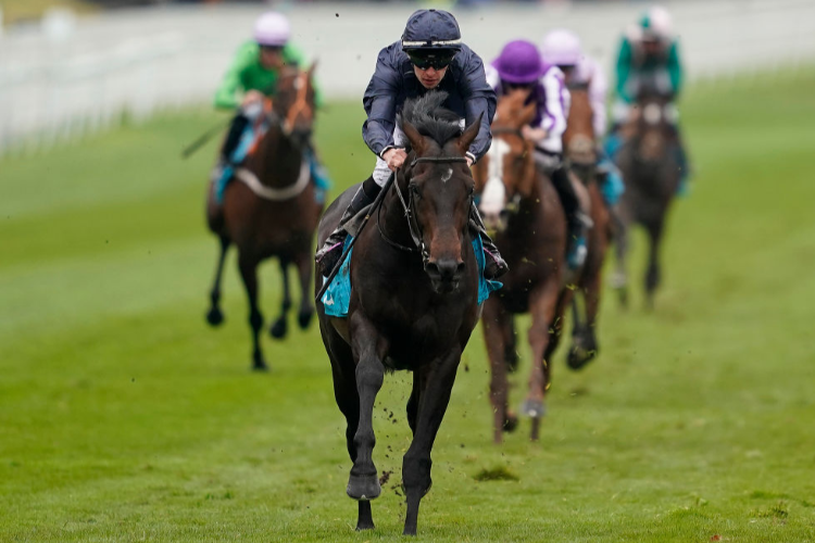 SIR DRAGONET winning the MBNA Chester Vase Stakes (Group 3) in Chester, England.
