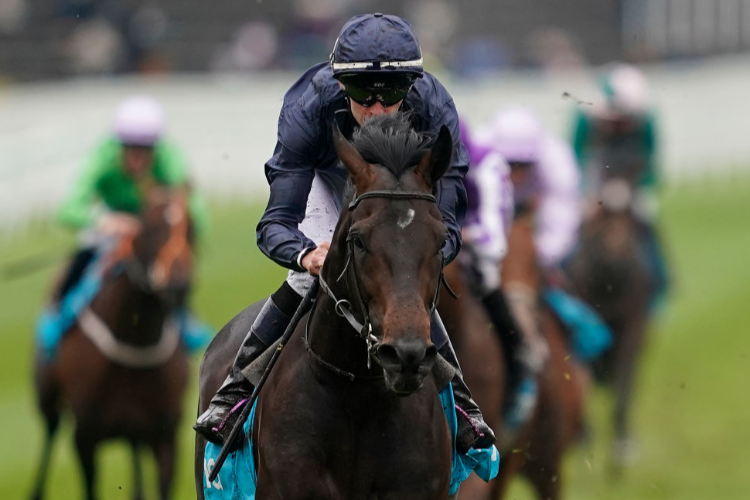 SIR DRAGONET winning the MBNA Chester Vase Stakes in Chester, England.