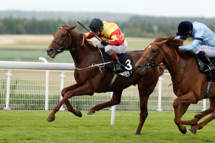 SIR RON PRIESTLEY winning the Unibet Handicap Stakes at Goodwood in Chichester, England.