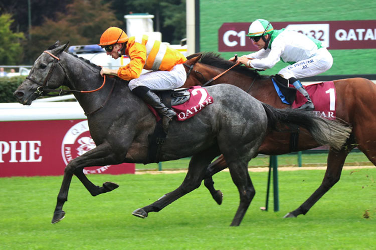 Skalleti winning the QATAR PRIX DOLLAR