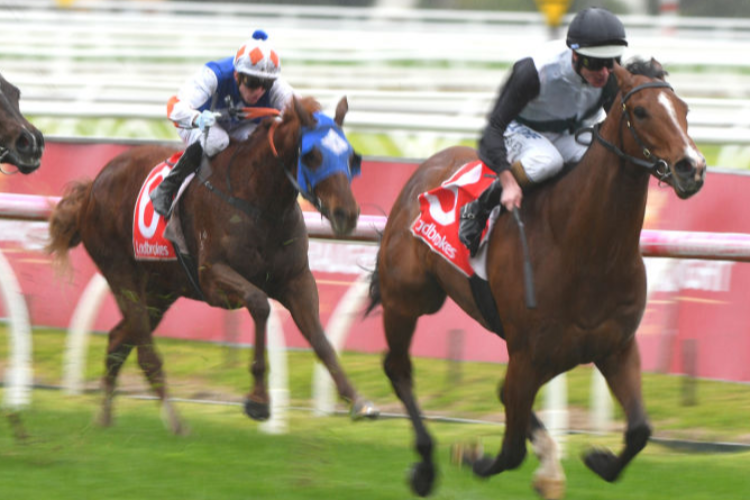 SMART ELISSIM winning the Long Fine Plate during Melbourne Racing at Caulfield in Melbourne, Australia.