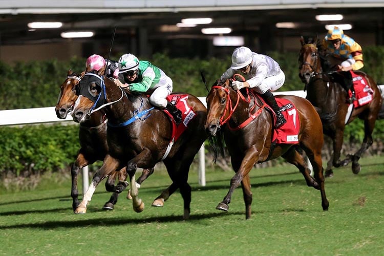 Snap Fit winning the Kyoto Hcp (C3)