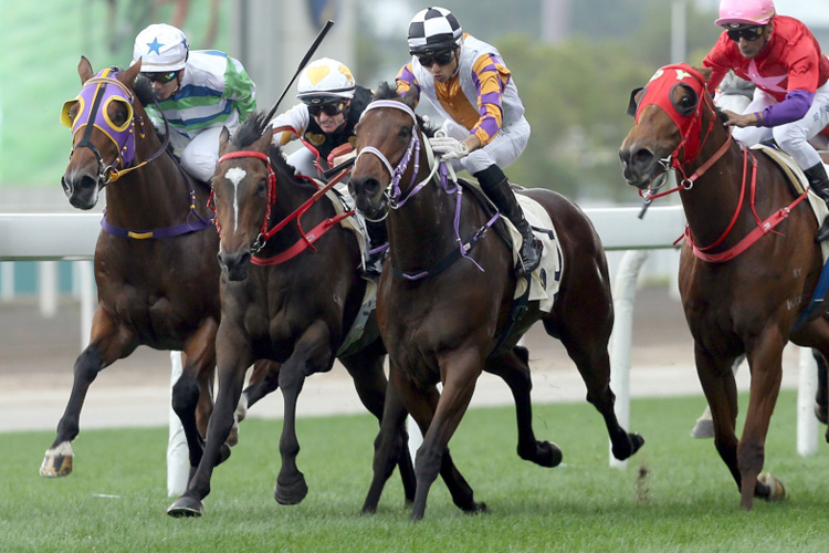 Solar Wai Wai(white cap, red bridle) winning the Kut Cheong Hcp (C4) Solar Wai Wai(white cap, red bridle) winning the Kut Cheong Hcp (C4)