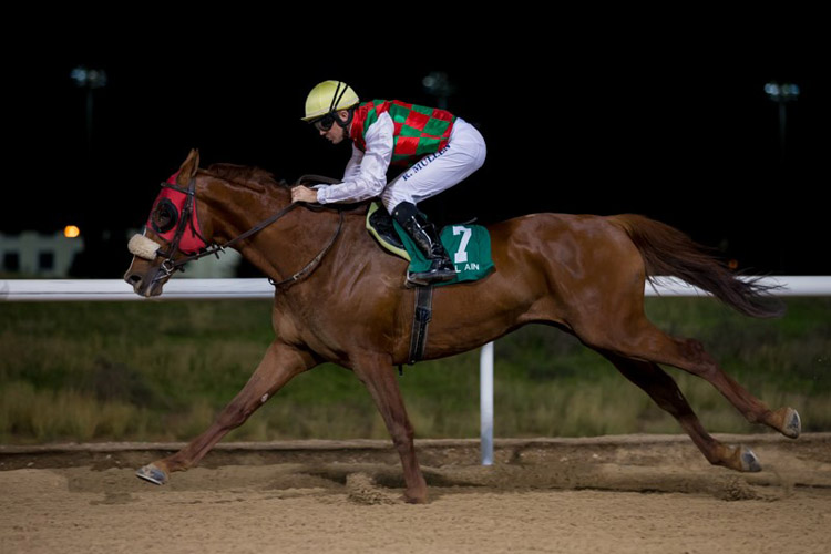Somoud winning the Oud Al Touba Somoud winning the Oud Al Touba