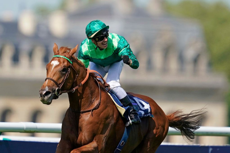 SOTTSASS winning the Prix du Jockey Club at Hippodrome de Chantilly in Chantilly, France.