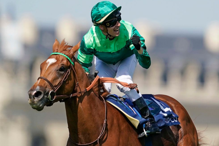 SOTTSASS winning the Qipco Prix Du Jockey Club meeting at Hippodrome de Chantilly in Chantilly, France.