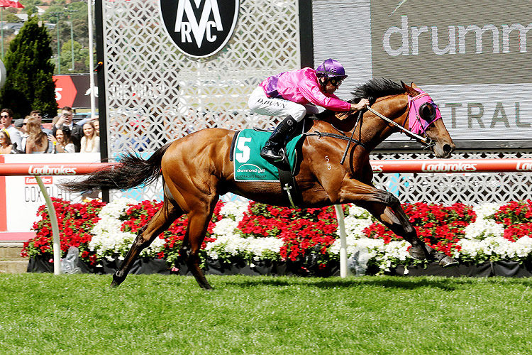 Soul Patch winning the Drummond Golf Vase