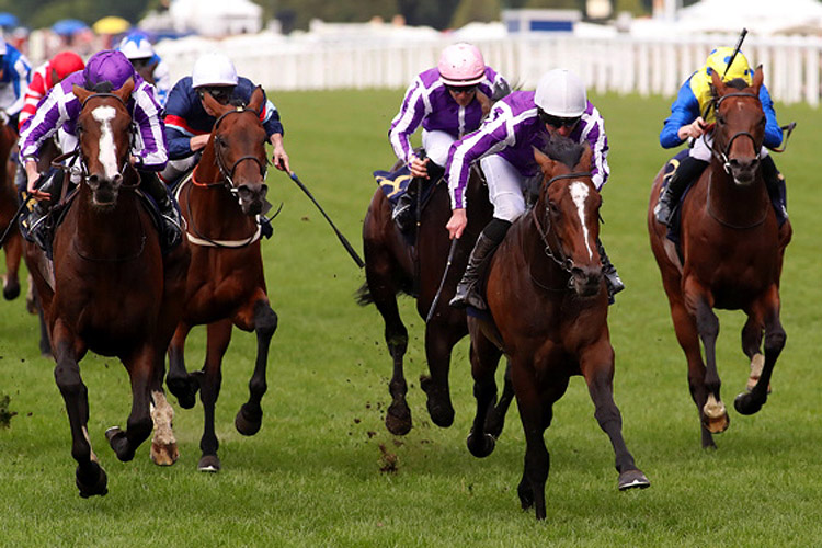 South Pacific winning the King George V Stakes (Handicap)
