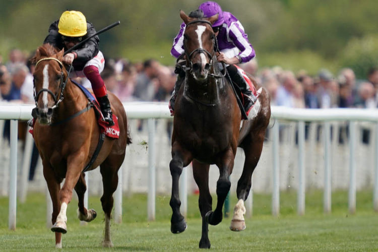 SOUTHERN FRANCE running in the Matchbook Yorkshire Cup Stakes (Group 2) in York, England.