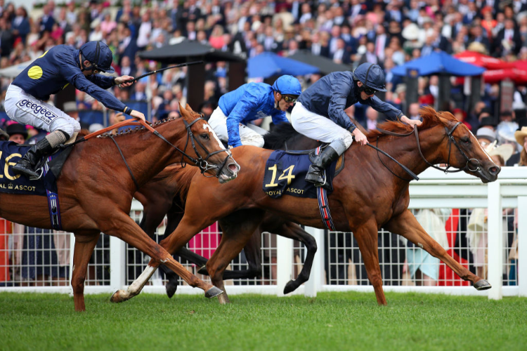 SOUTHERN HILLS winning the Windsor Castle Stakes at Royal Ascot.