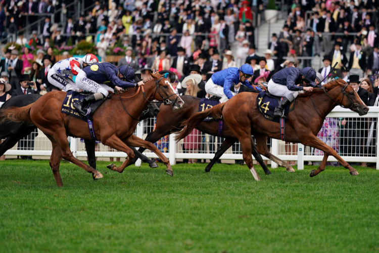 SOUTHERN HILLS winning the Windsor Castle Stakes at Ascot in England.