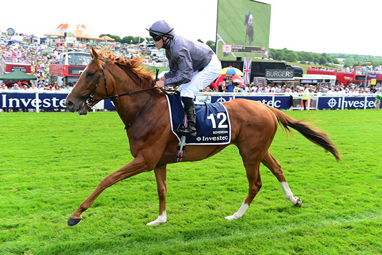 Sovereign running in the Investec Derby Stakes (Group 1)