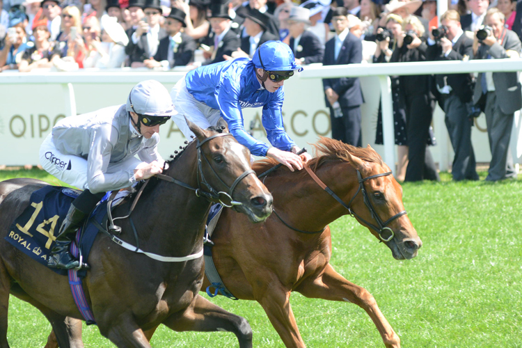 Space Traveller winning the Jersey Stakes (Group 3)