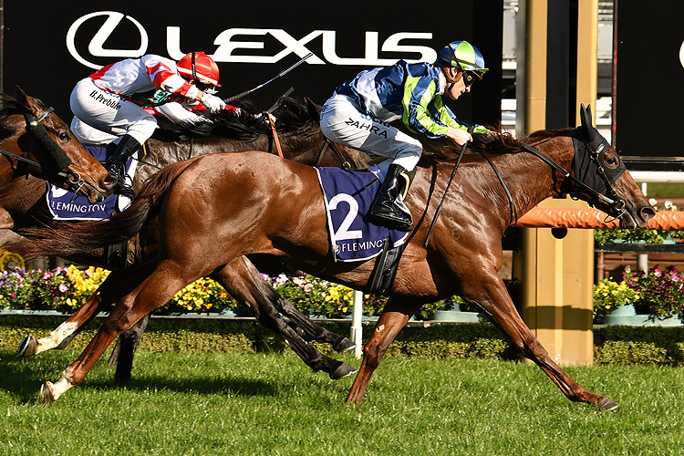 Spanish Whisper winning the Let's Elope Stakes