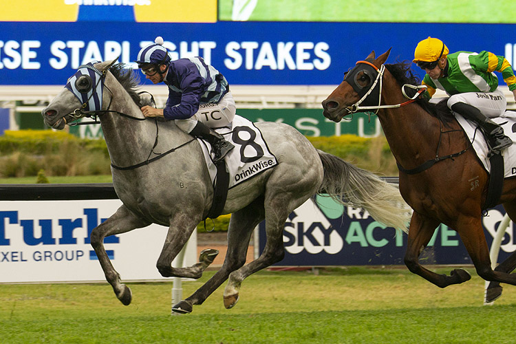 Spending To Win winning the Drinkwise Starlight Stakes.