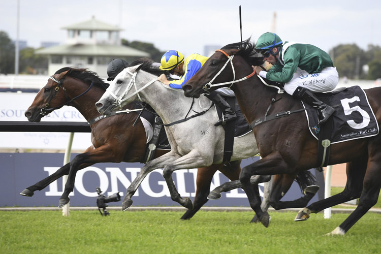 Can he get there!? No! But Exceedance rattled home at Rosehill.