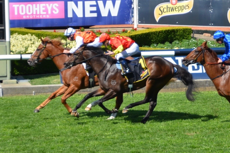 STANDOUT winning the Schweppes Heritage Stakes