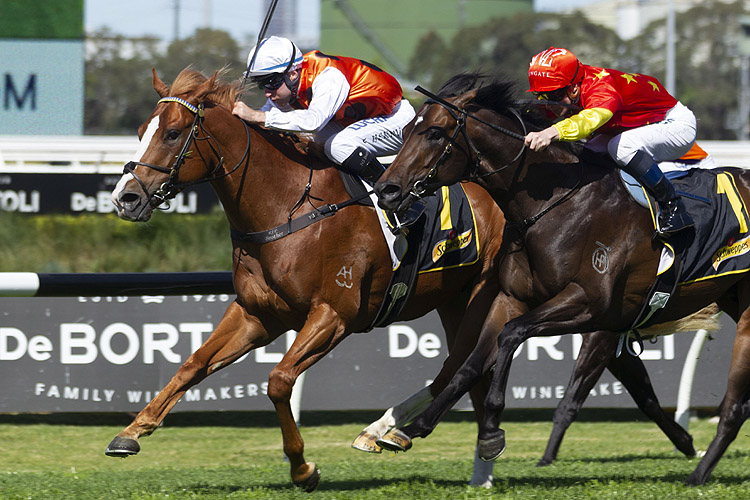 Standout winning the Heritage Stakes
