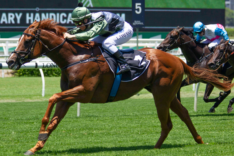 STAR FALL winning the January Handicap. STAR FALL winning the January Handicap.