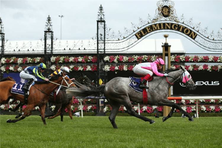 STAR MISSILE winning the Melbourne Cup Carnival Country Final during 2019 Oaks Day at Flemington in Melbourne, Australia.