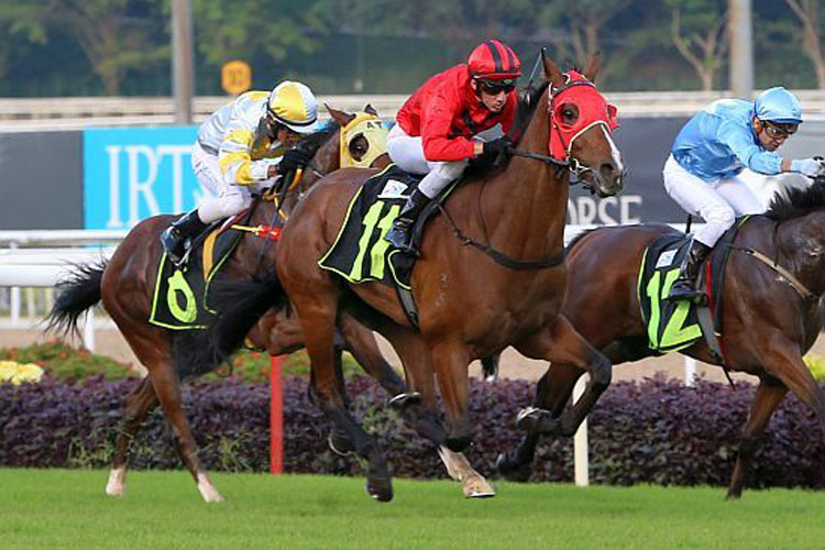Stay The Course winning the MANULIFE CUP RESTRICTED MAIDEN