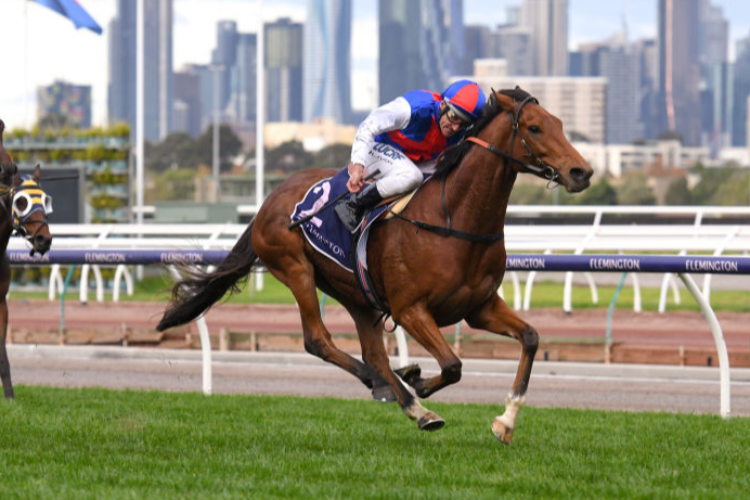STEEL PRINCE winning the Andrew Ramsden during Melbourne Racing at Flemington in Melbourne, Australia.