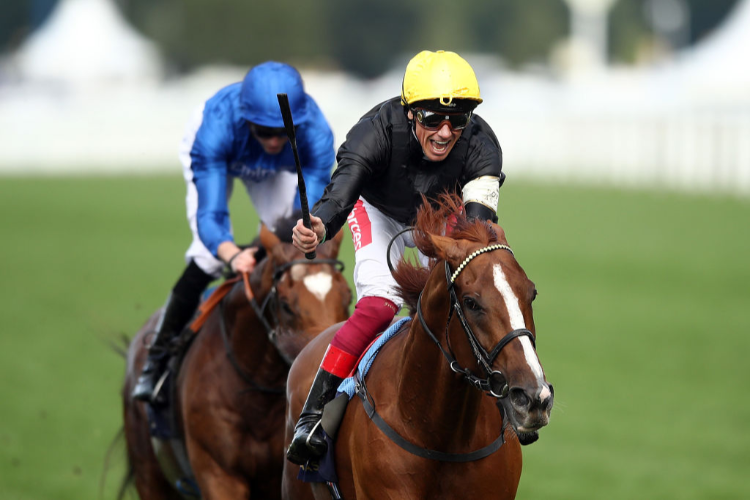 STRADIVARIUS winning the Ascot Gold Cup at Ascot in England.