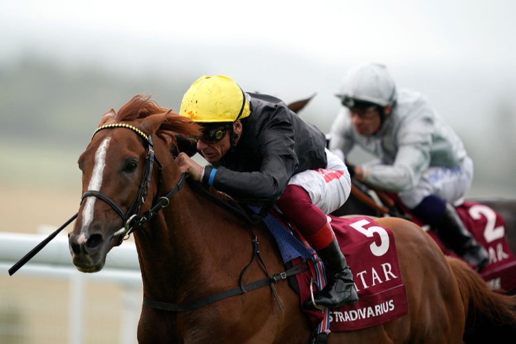 STRADIVARIUS winning the Qatar Goodwood Cup Stakes at Goodwood in Chichester, England.