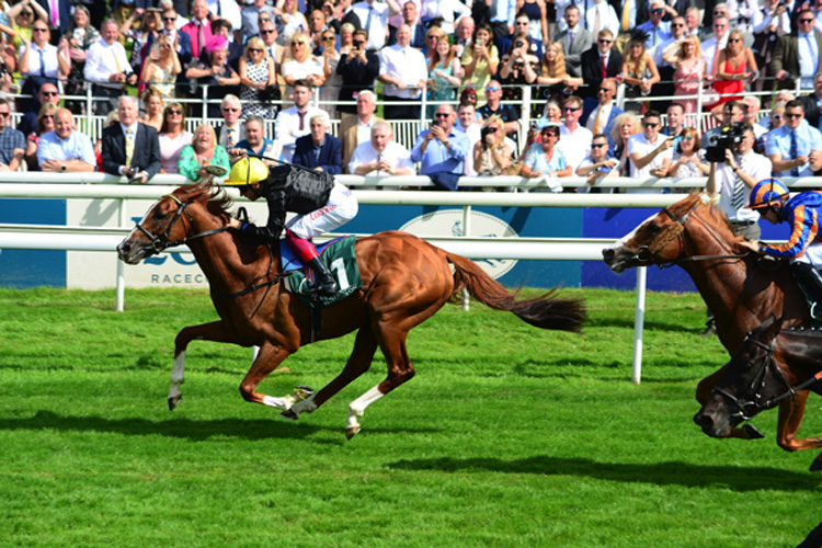 Stradivarius Faces 10 Rivals In Bid For Fifth Goodwood Cup | Racing and ...