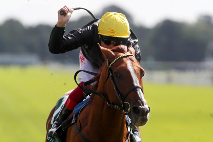Stradivarius winning the Weatherbys Hamilton Lonsdale Cup Stakes (Group 2)
