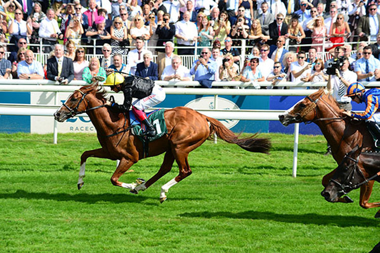 Stradivarius winning the Weatherbys Hamilton Lonsdale Cup Stakes (Group 2)