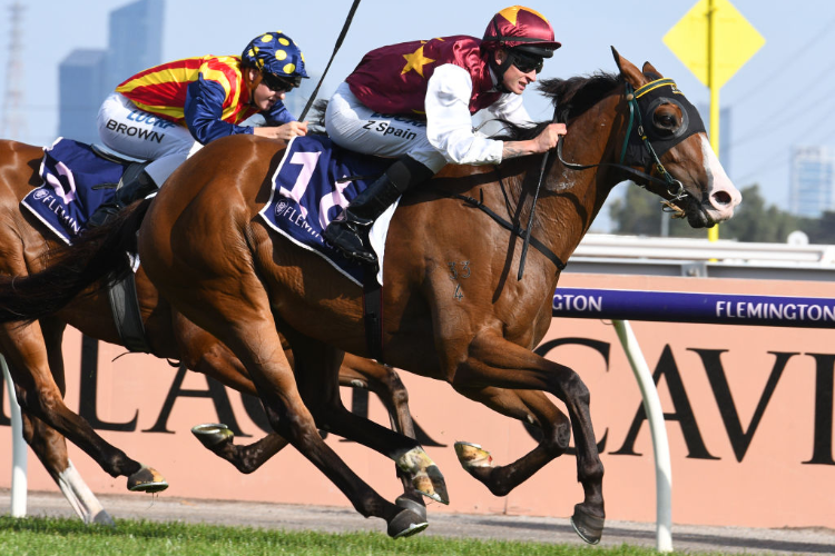 STREETS OF AVALON winning the Japan Racing Association Hcp during Melbourne Racing at Flemington in Melbourne, Australia.