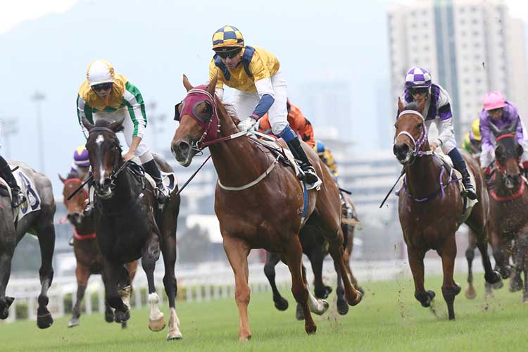 Styling City will stretch to 1400m for the first time.