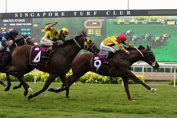 Sun Marshal winning the Singapore Derby.