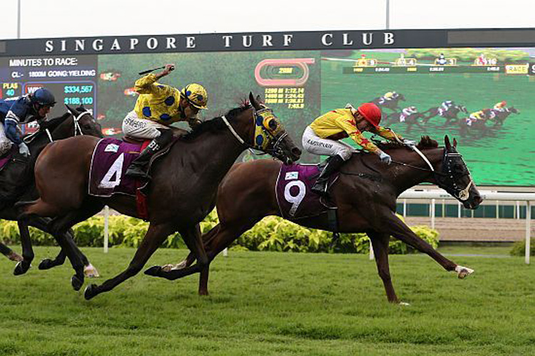 Sun Marshal winning the SINGAPORE DERBY