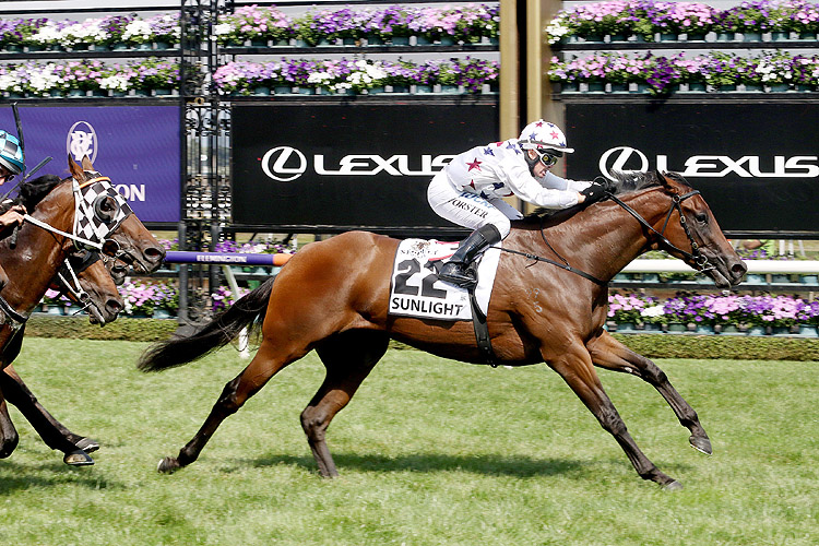 Sunlight winning the Seppelt Wines Newmarket Hcp