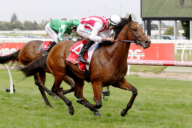 Super Seth winning the Ern Jensen Funerals Hcp Super Seth winning the Ern Jensen Funerals Hcp