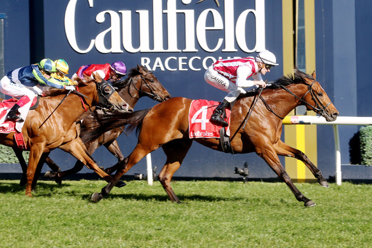 Super Seth winning the H.D.F. McNeil Stakes