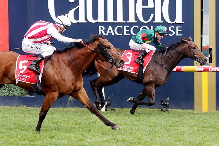 Super Seth winning the Caulfield Guineas