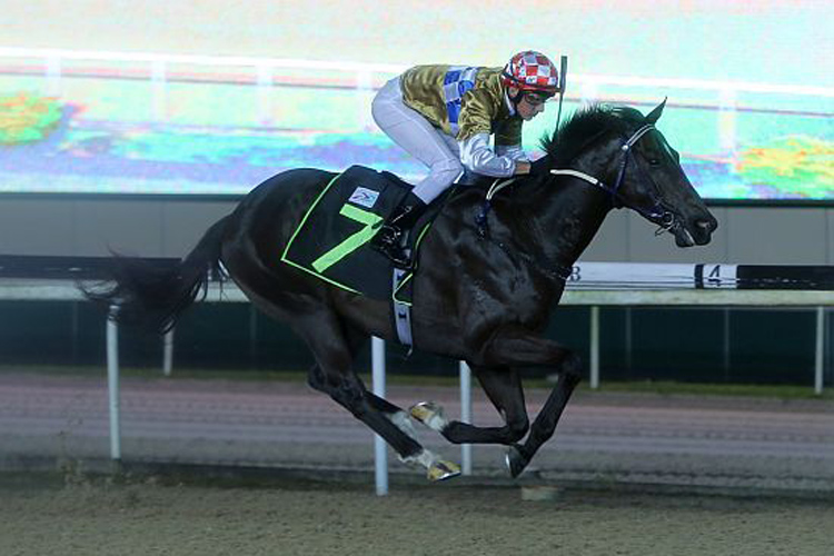 Surpass Natural winning the RESTRICTED MAIDEN