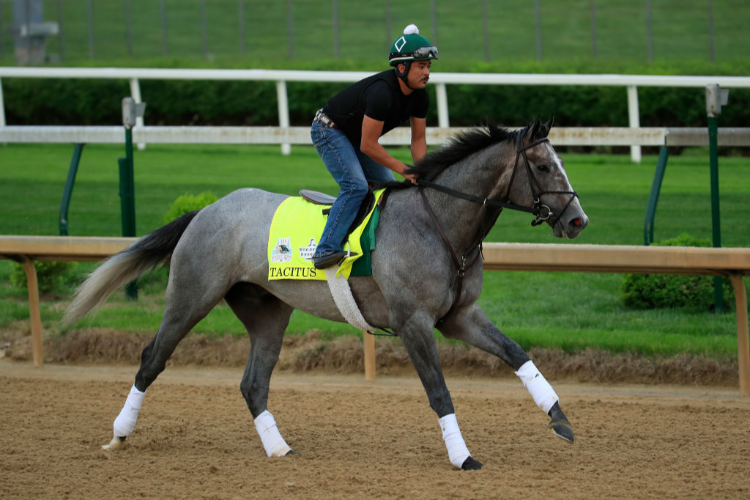 TACITUS during track work session at Churchill Downs in Louisville, Kentucky.