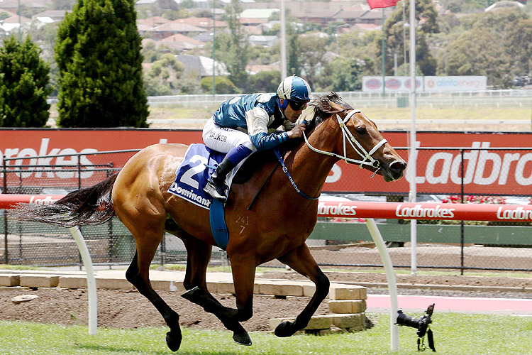 Tagaloa winning the Strath Haven Preston Plate